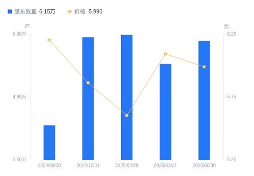 天地科技A股股東結構變動分析 股東戶數顯著增加，戶均持股與市值雙降